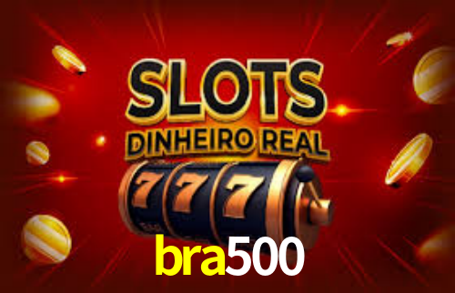 bra500 App Interface